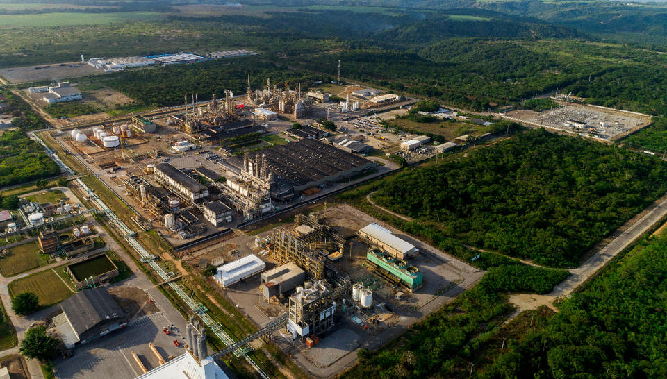 Biomasa energia renovable