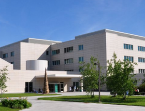 case-Techint