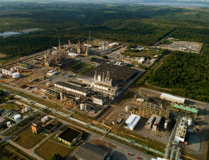 Biomasa energia renovable