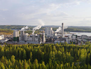 Veolia lanza una solución industrial innovadora para producir biocombustible sin emisiones de CO2 a partir de la producción de pulpa de celulosa