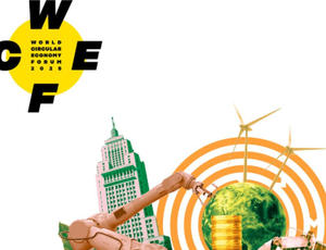 Veolia Brasil & WECF