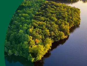 Residuos peligrosos Veolia