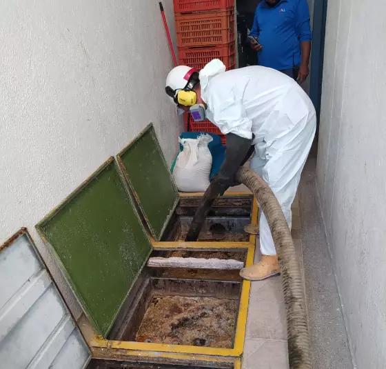 trampa de grasas