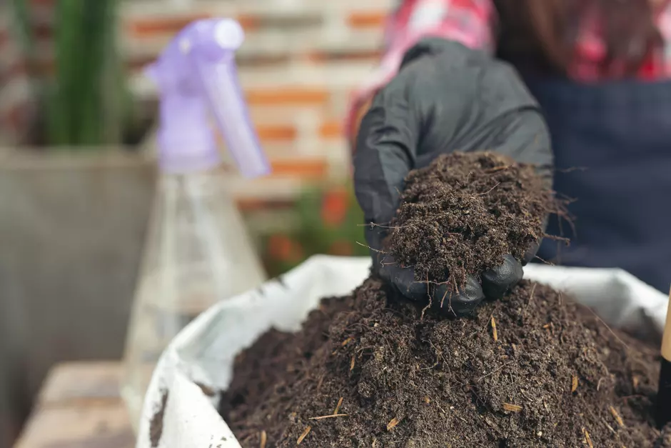 Compost de Calidad_ Agricultura Veolia 