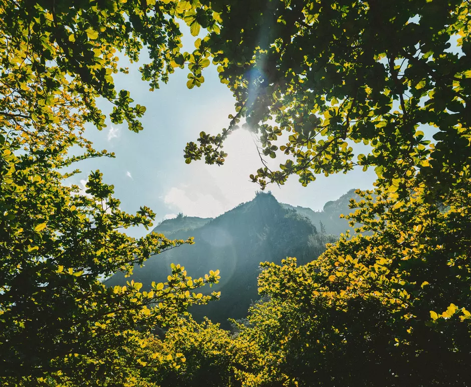 Soluciones basadas en la naturaleza